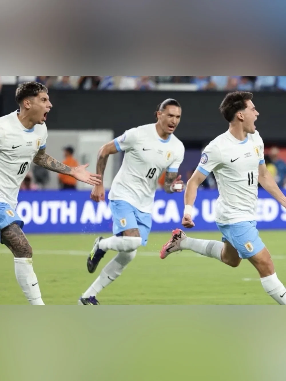 Nike Authentic Uruguay National Team 2024/25 Soccer IM8582-100 Jersey Men’s Sz L